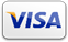 Visa Logo